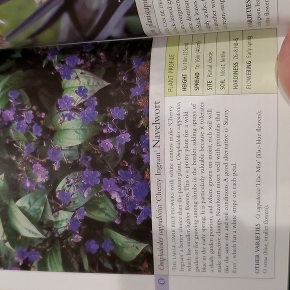 DK Garden guide Perennials 2003 paperback by Richard Rosenfeld 320 pages - Picture 6 of 8